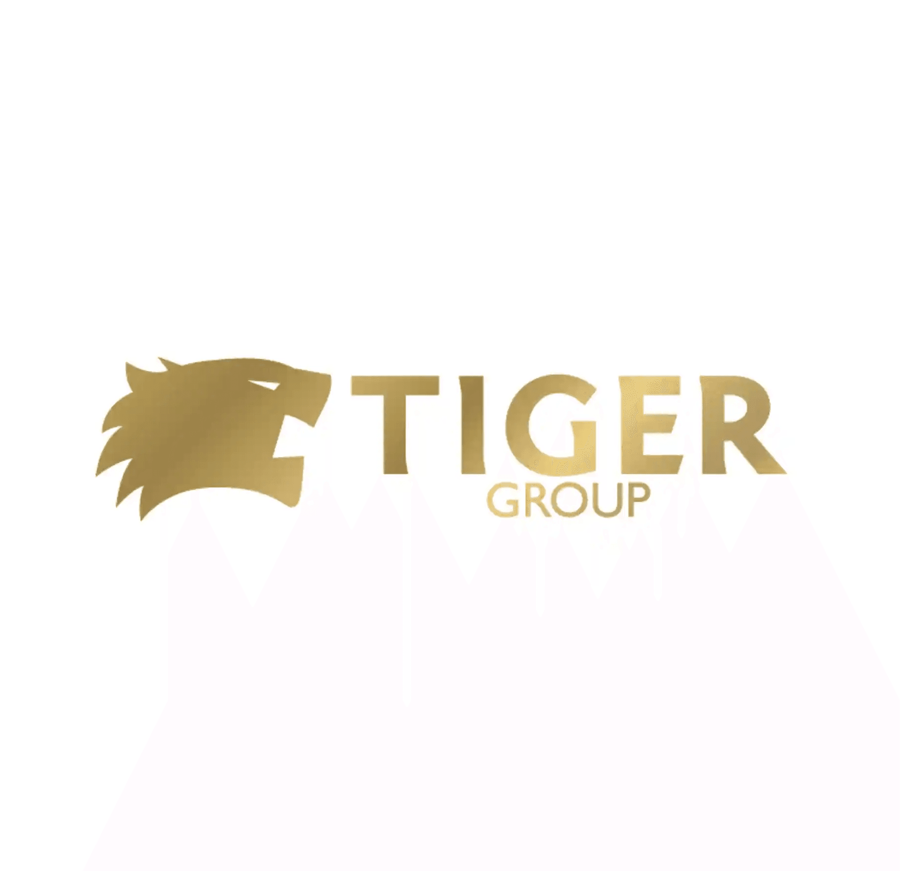 Tiger Properties banner
